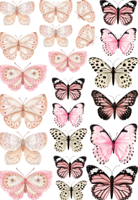 Producto - mariposas11