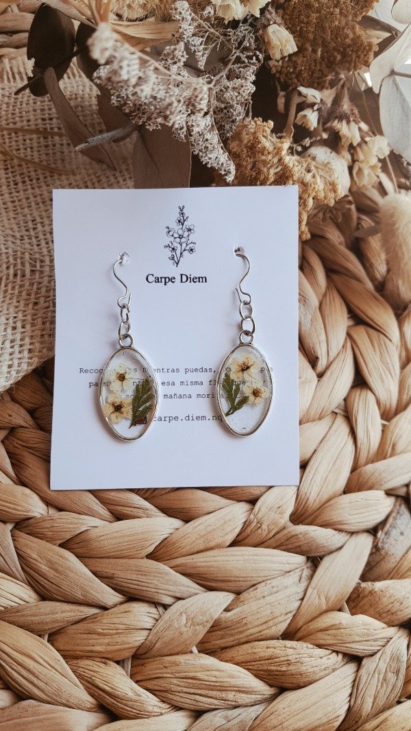 Producto - Aros Aria