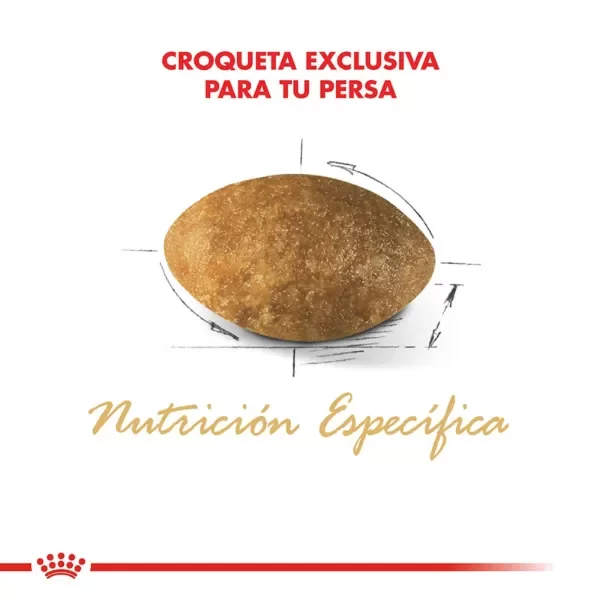 Producto - Alimento Royal Canin Gato Adulto Persian - 3