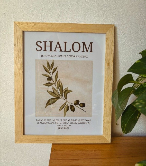 Producto - SHALOM