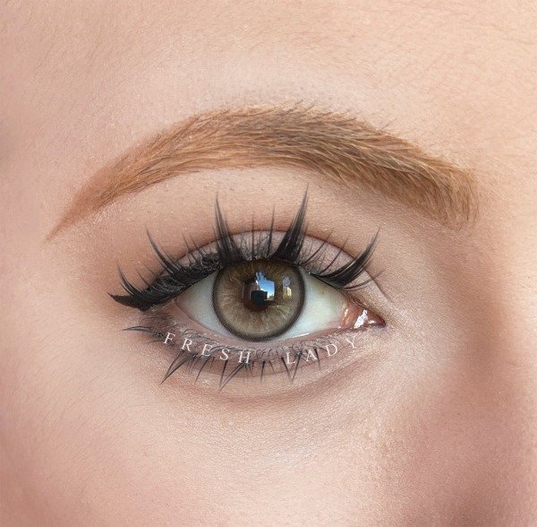 Producto - Twilight Brown - Freshlady (Precio x par)