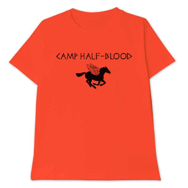 Producto - Remera Camp-half Blood - Percy Jackson Libro