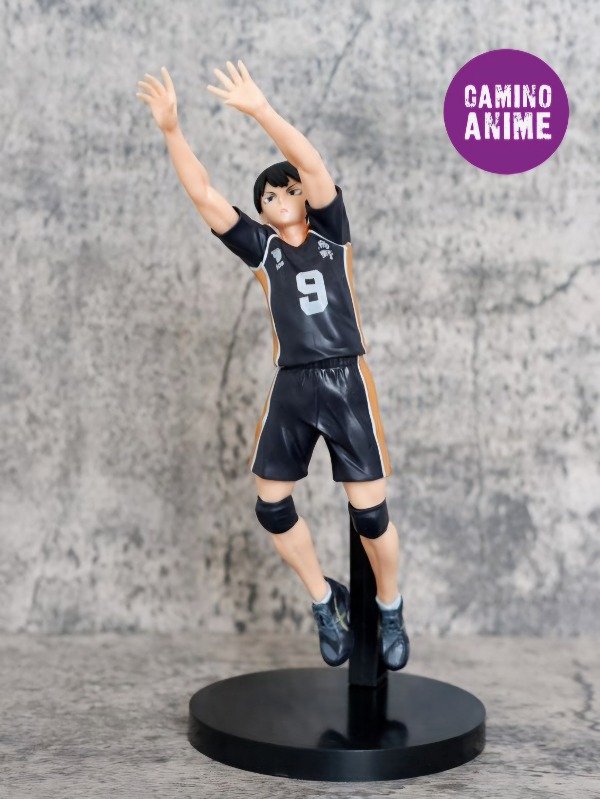 Producto - HAIKYUU 24CM (3382)