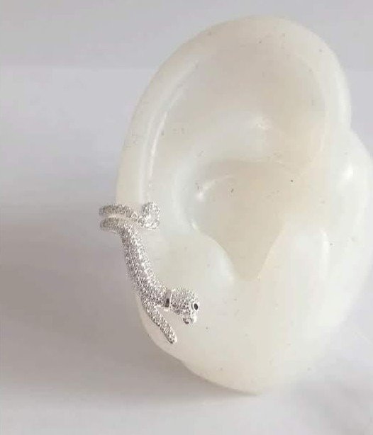 Producto - Aros Pantera Pasante y Cuff