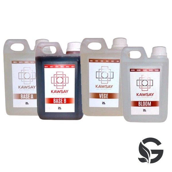 Producto - COMBO KAWSAY 2LTS