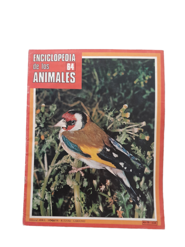 Miniatura de producto - 0