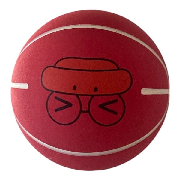 Producto - Pelota pato