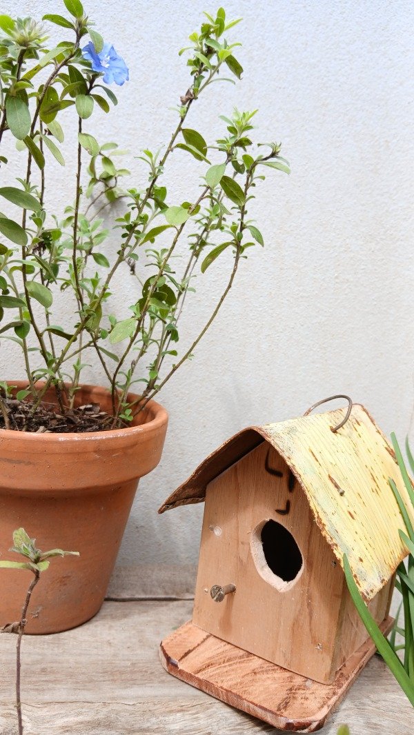 Producto - Casita charo pintada (CHP 004)