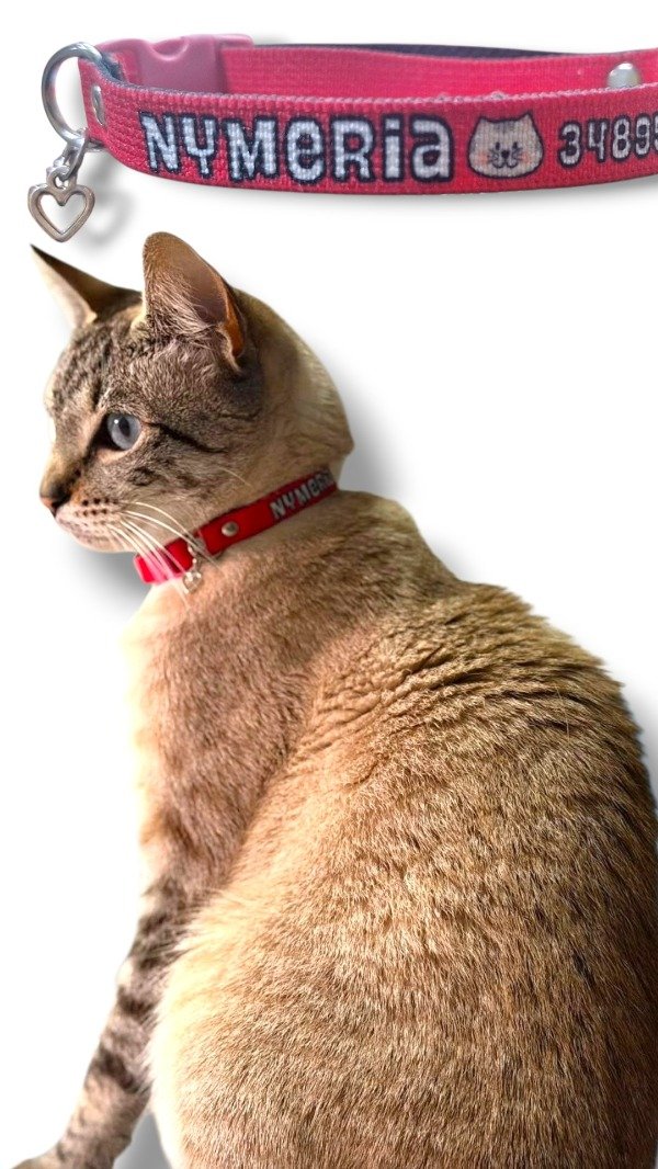 Producto - Collar Personalizado gatos - 2