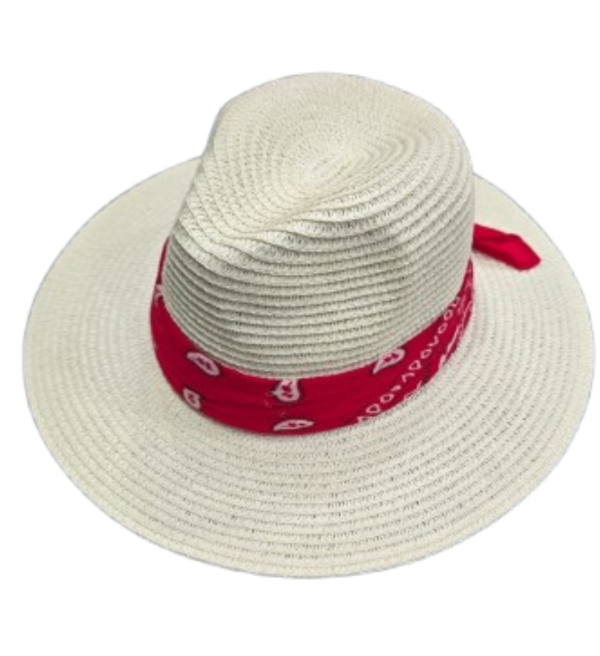 Producto - PANAMA 2