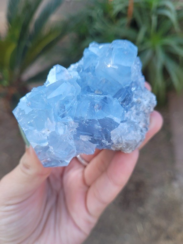 Producto - Celestina (Madagascar)