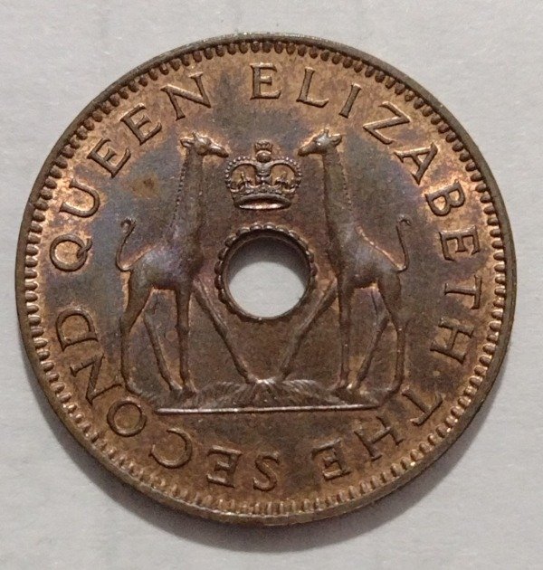 Producto - Rhodesia y Nyasaland Half Penny 1958