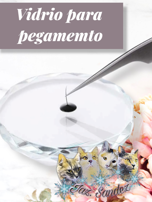 Producto - PALETA VIDRIO PARA PEGAMENTO