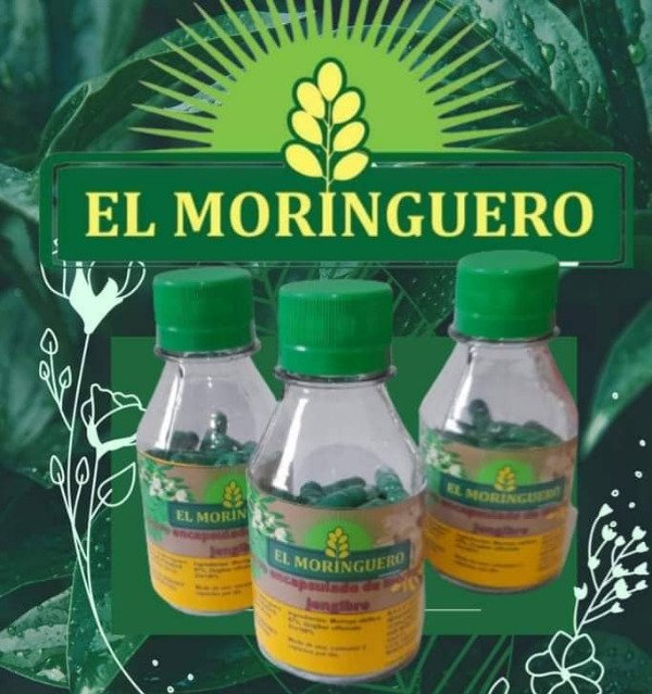 Producto - Capsulas Jengibre con Moringa x 90 caps