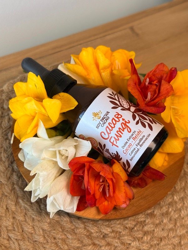Producto - Tintura Madre Alquímica - Cacao y Reishi - 60 ml