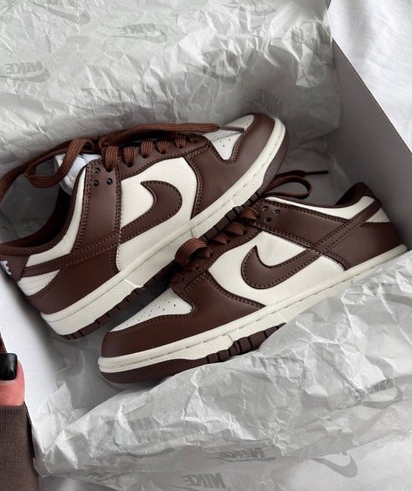 Producto - Nike Sb Dunk - choco