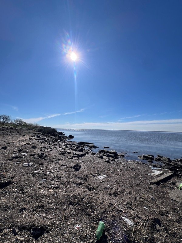 Producto - Pate de salmon