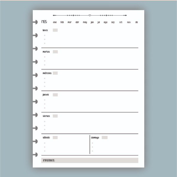 Producto - Repuesto Agenda Perpetua A5 SEMANAL (6 meses)