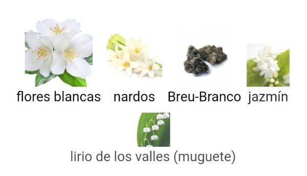 Producto - Perfume Luna Viva 75ml Natura - 2