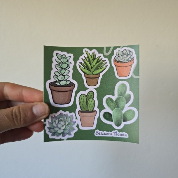 Producto - Planchita mini Suculentas