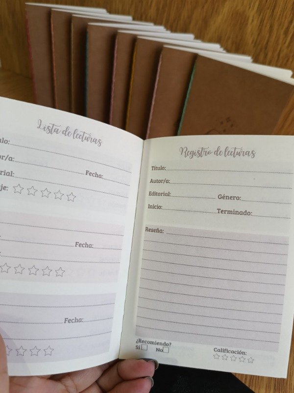 Producto - Mini Diario de lectura - opción 2