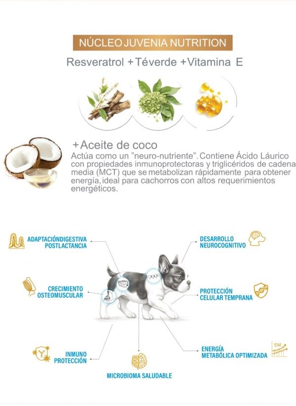 Producto - Juvenia Perro Puppy Mini y Small 3 Kg - 1