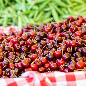 Producto - Prunus avium (Cerezo)