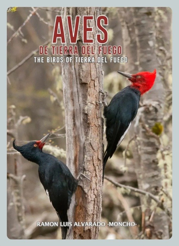 Producto - Alvarado: Aves de Tierra del Fuego