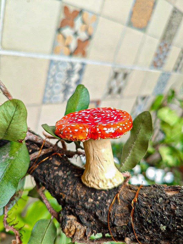 Producto - Adorno Hongos