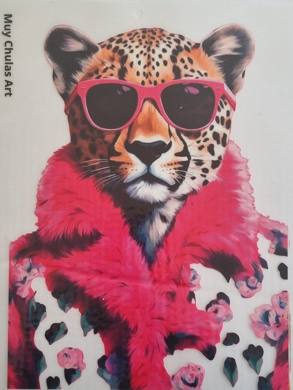 Producto - Gatos3