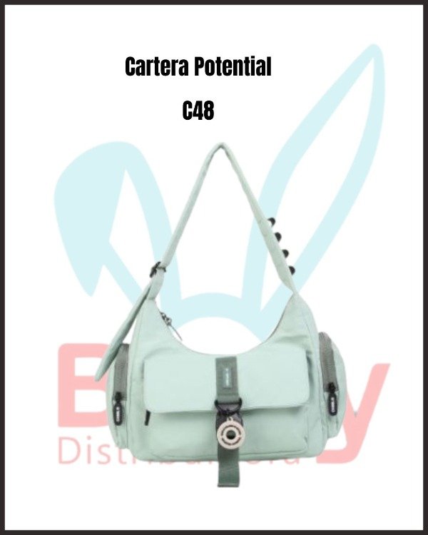Producto - Cartera Potential C48