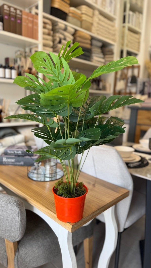Producto - Sandalia Grande