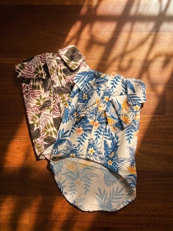 Producto - Camisa Bali TALLE 2