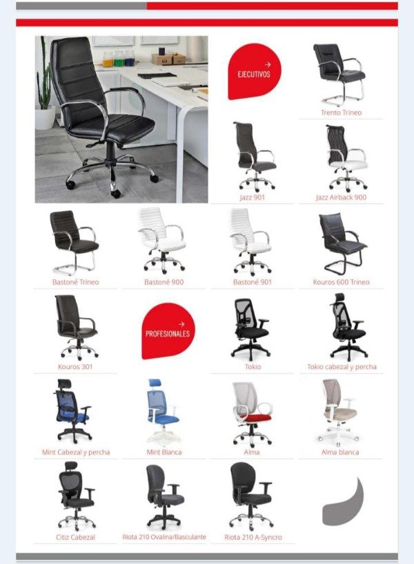 Producto - Catálogo Línea Ejecutivos y Profesionales