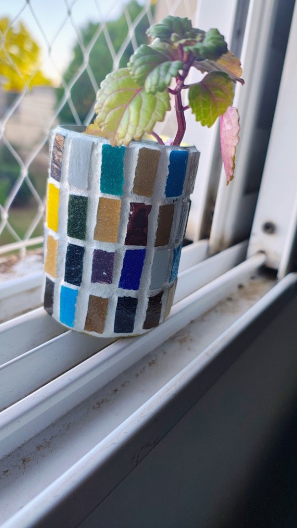 Producto - Raíces de color: maceta colorida