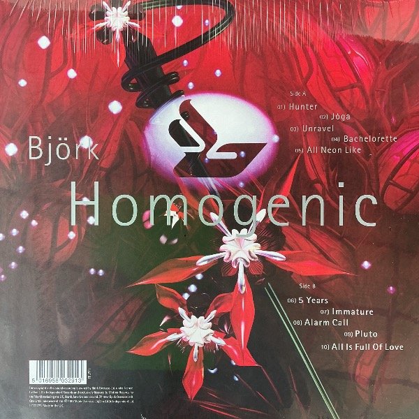 Producto - LP BJORK Homogenic IMPORTADO - 1