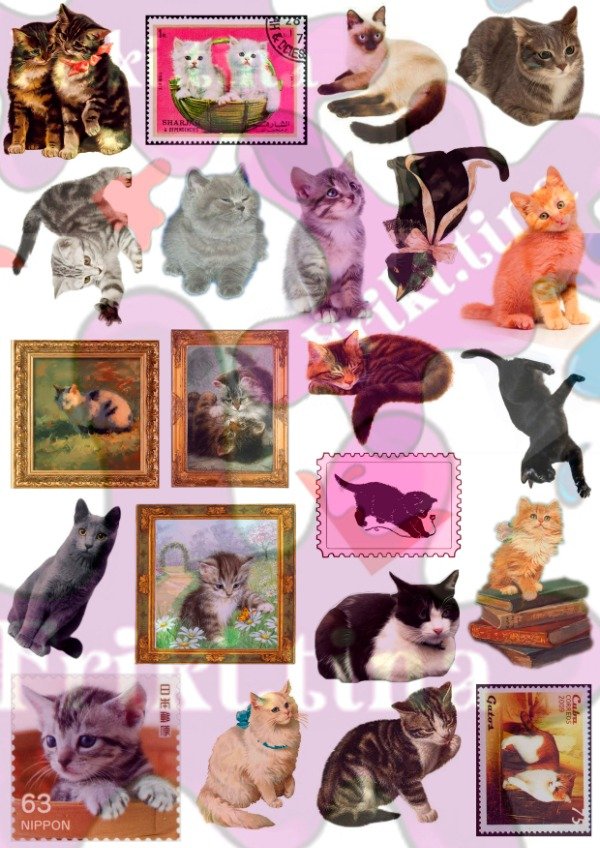 Producto - Pack Sticker Michis - 5
