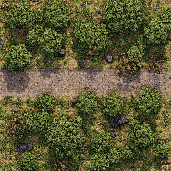 Producto - Camino en el bosque 1 XL