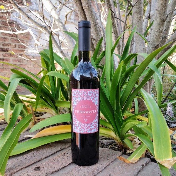 Producto - Vino Syrah Terravita