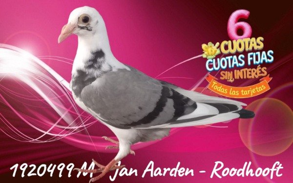 Producto - 1920499 M Jan Aarden -Roodhooft