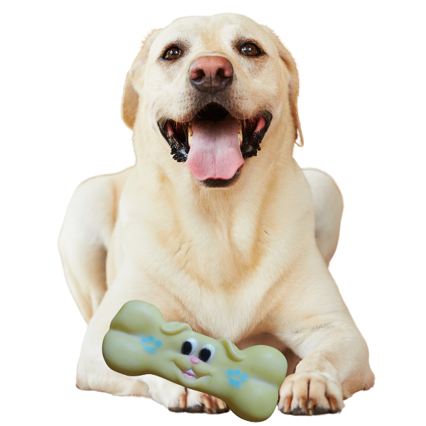 Producto - juguete para perros con chifle modelo hueso con carita de perrito. - 0