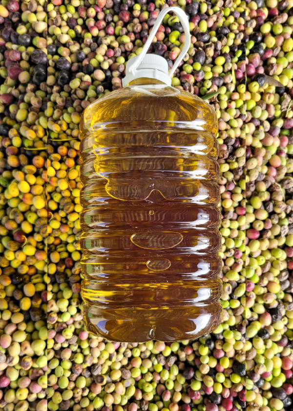 Producto - PRE VENTA DE ACEITE DE OLIVA BIDONES DE 3 Y 5 L