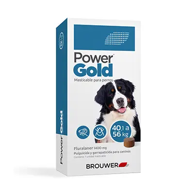 Producto - COMPRIMIDO ANTI PULGAS Y GARRAPATAS POWER GOLD 3 MESES 40 A 56KG - 0