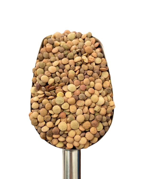 Producto - LENTEJON 500G