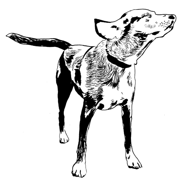 Producto - Iman con diseño de perrito