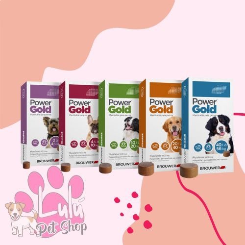 Producto - PASTILLAS POWER GOLD