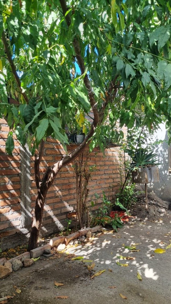 Miniatura de producto - 7