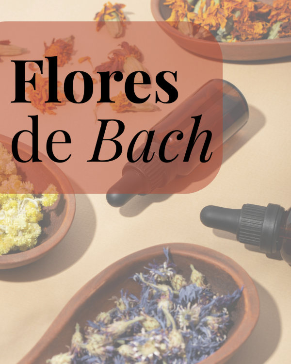 Producto - Sesión virtual de Flores de Bach