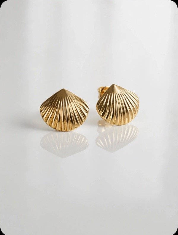 Producto - AROS OSTRA - 0