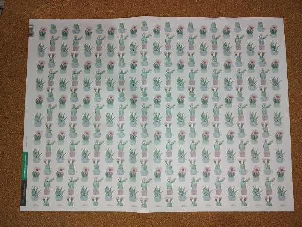 Producto - 5007